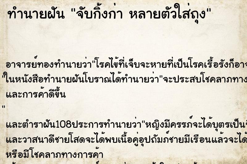 ทำนายฝันจับกิ้งก่าหลายตัวใส่ถุง ทำนายฝันทำนายฝันจับกิ้งก่าหลายตัวใส่ถุง